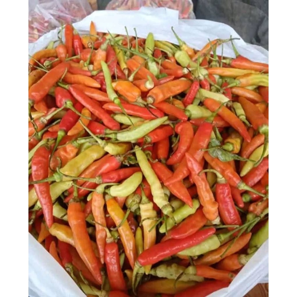 

Cabe Rawit Sret Asli Pedas