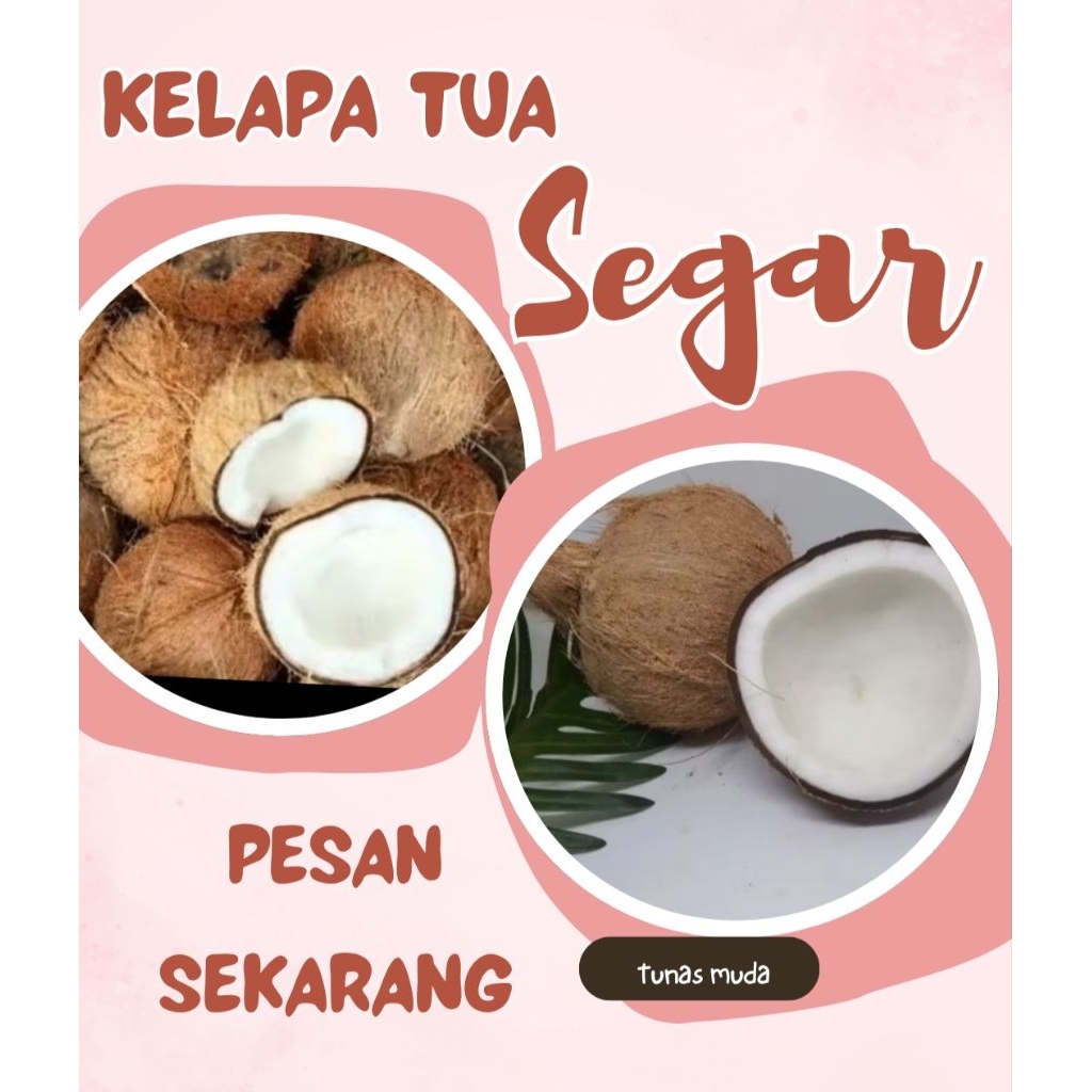 

KELAPA TUA SEGAR COCOK UNTUK SANTAN DAN BAHAN MAKANAN LAINYA