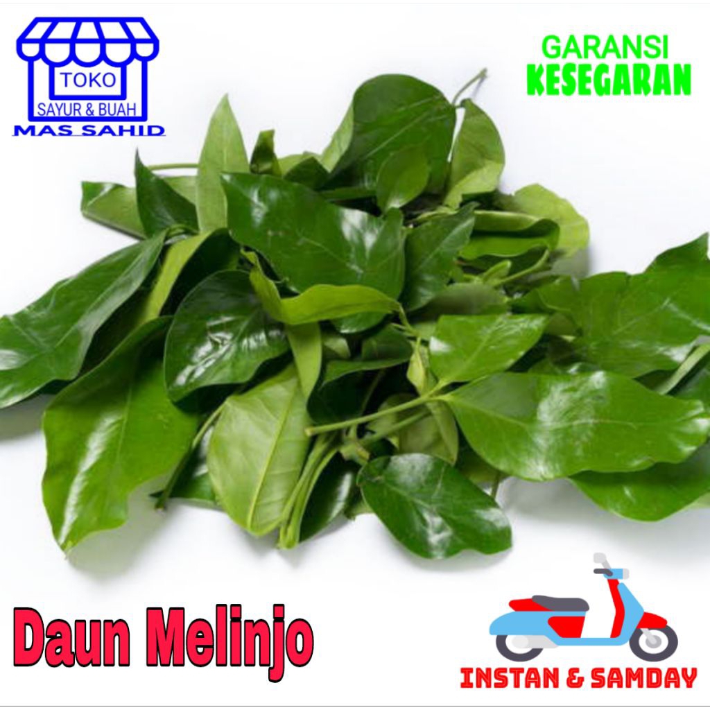 

Daun So Daun Melinjo Segar 100 Gram kirim instan & Someday