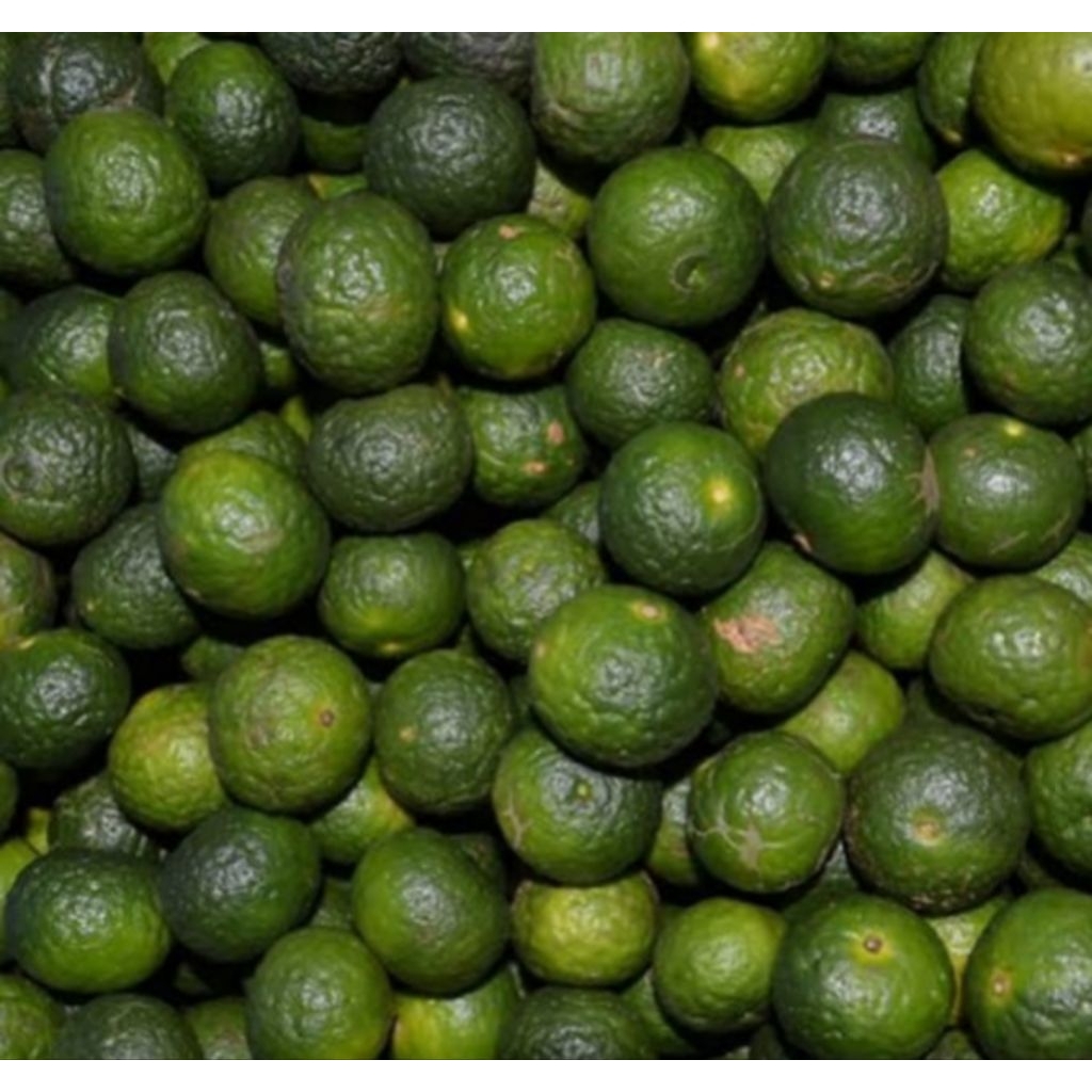 

jeruk limo penyedap rasa