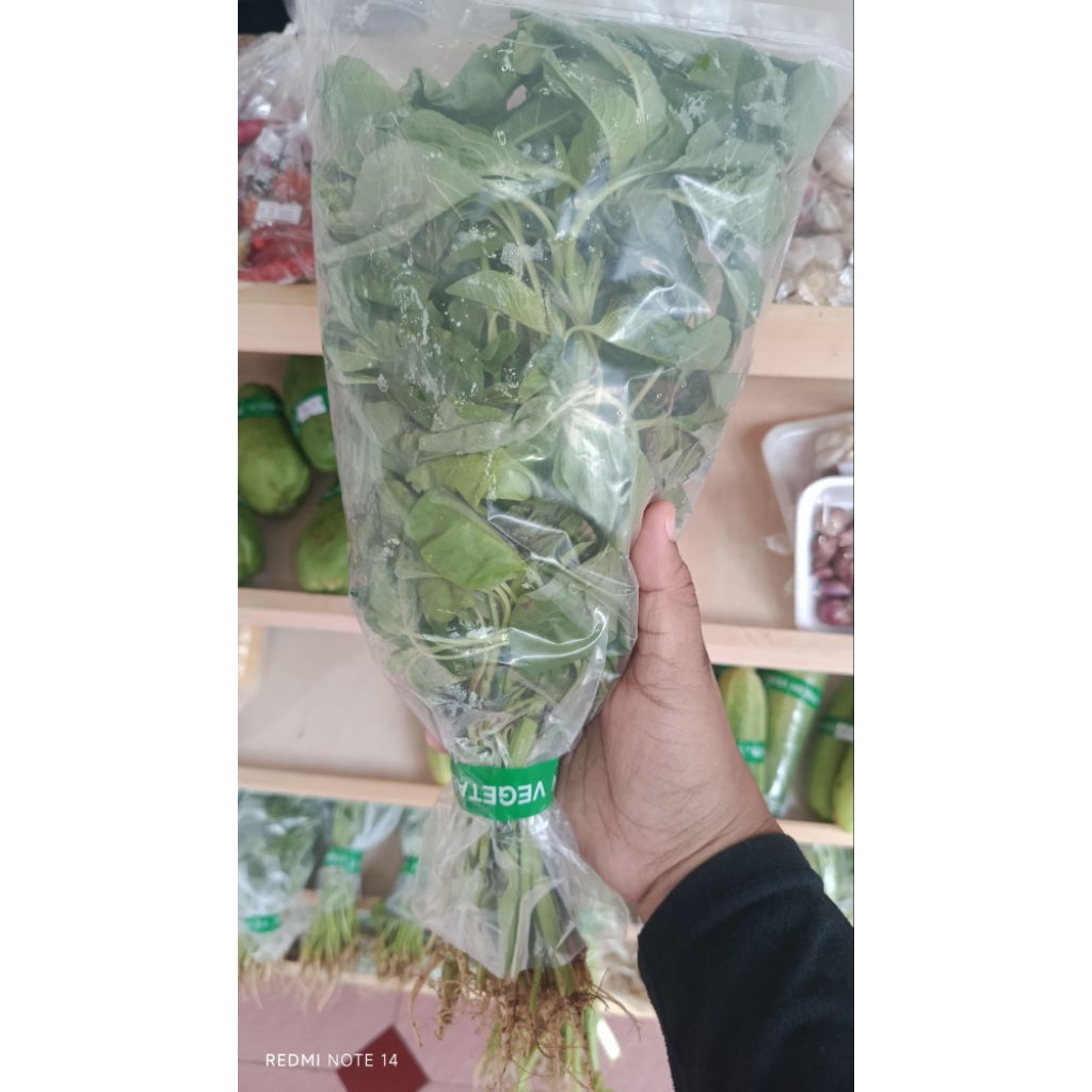 

sayur bayam - INSTAN SURABAYA