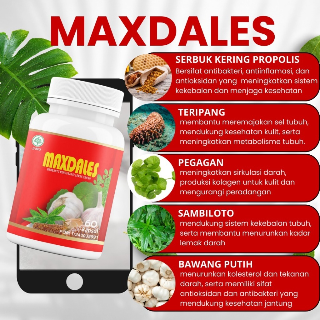MAXDALES obat herbal untuk stroke