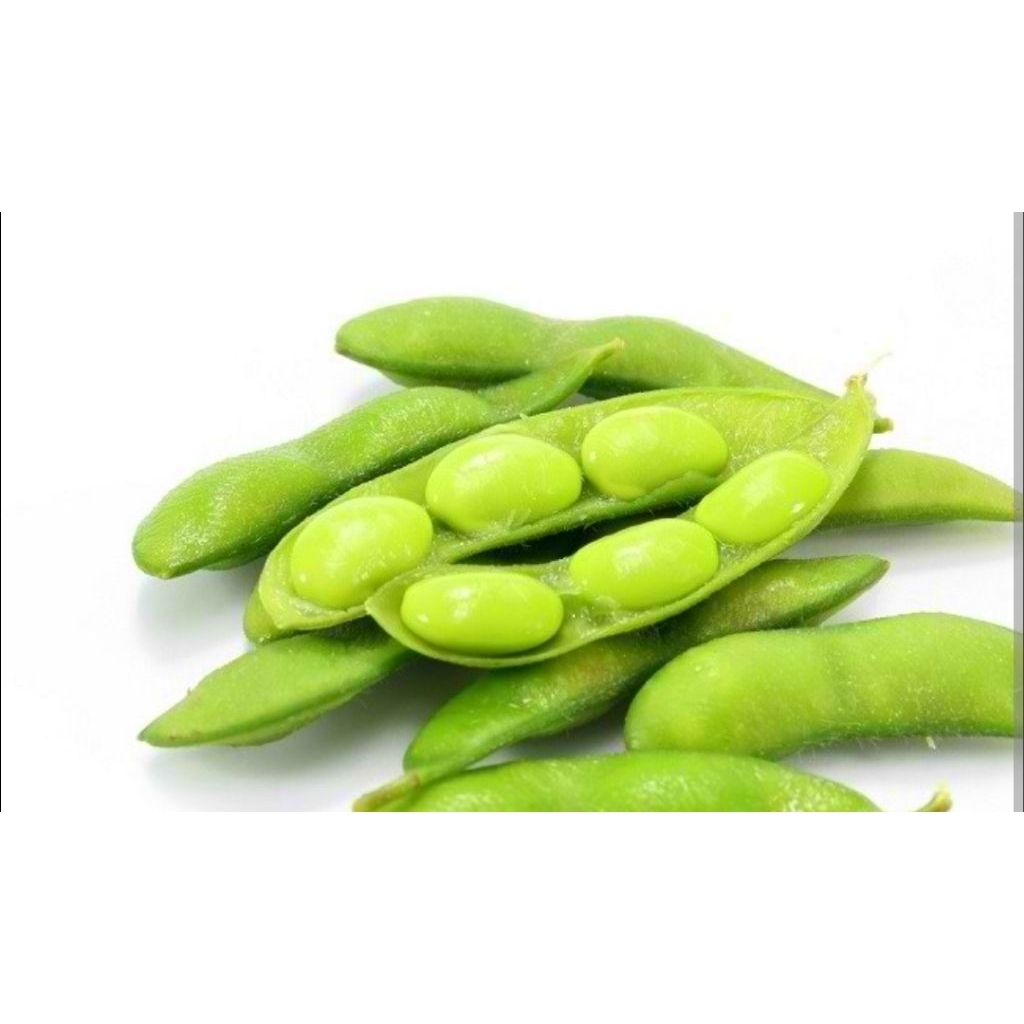 

EDAMEME 1KG SEGAR|KACANG EDAMEME|KACANG KEDELAI EDAMEME|NURI FRUITS