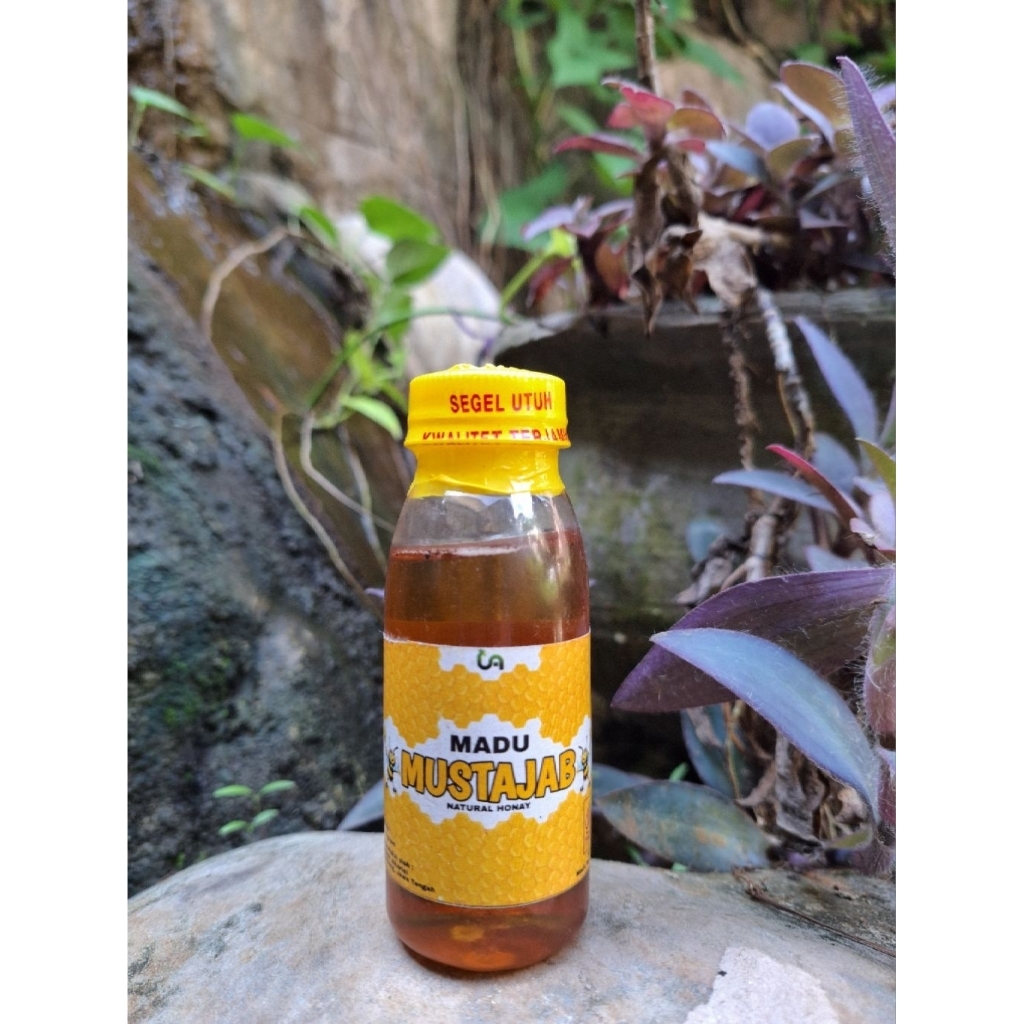 

MADU MUSTAJAB STANDART 100 GRAM CESPLENG + DO'A