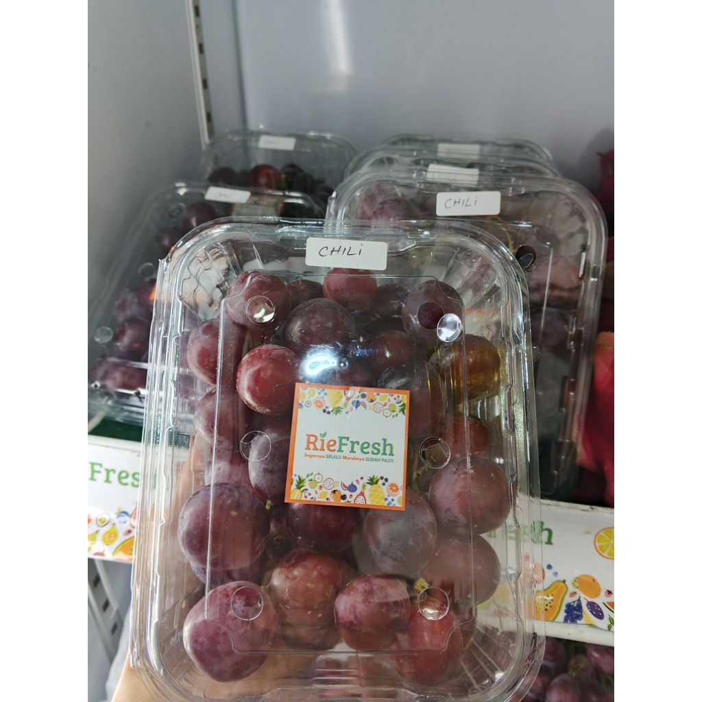 

Anggur Red Globe Chili 500gr