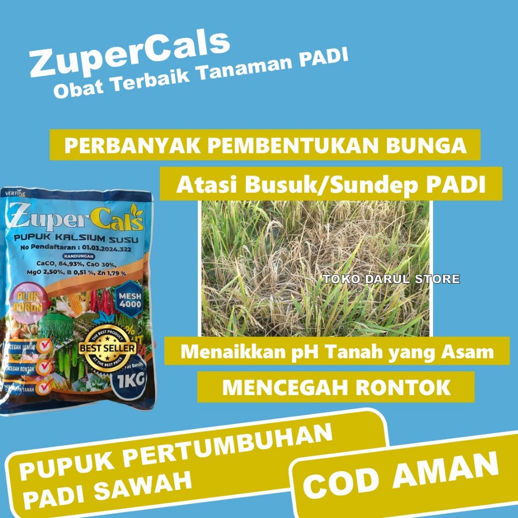 PROMO MURAH PUPUK ZUPER CALS 1 KG MENGATASI JAMUR SUNDEP PADI PALING BAGUS - Obat Kalsium Tanaman Pa