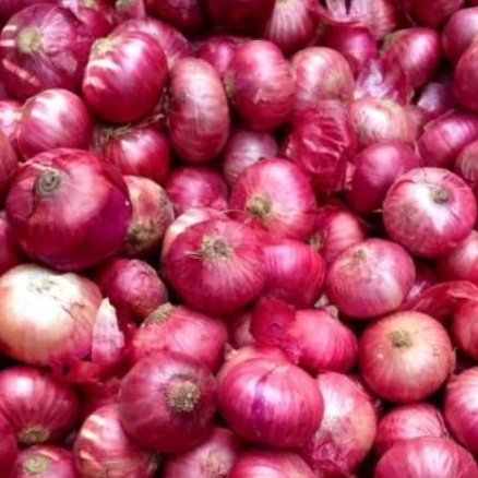

Bawang merah lokal kering ukuran besar kwalitas super 1/2kg
