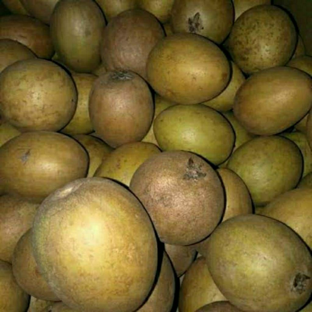 

sawo manila madu tua fres siap matang 1/2kg atau 500grm