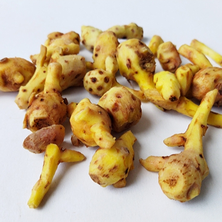 

Temu Kunci Bumbu Dapur