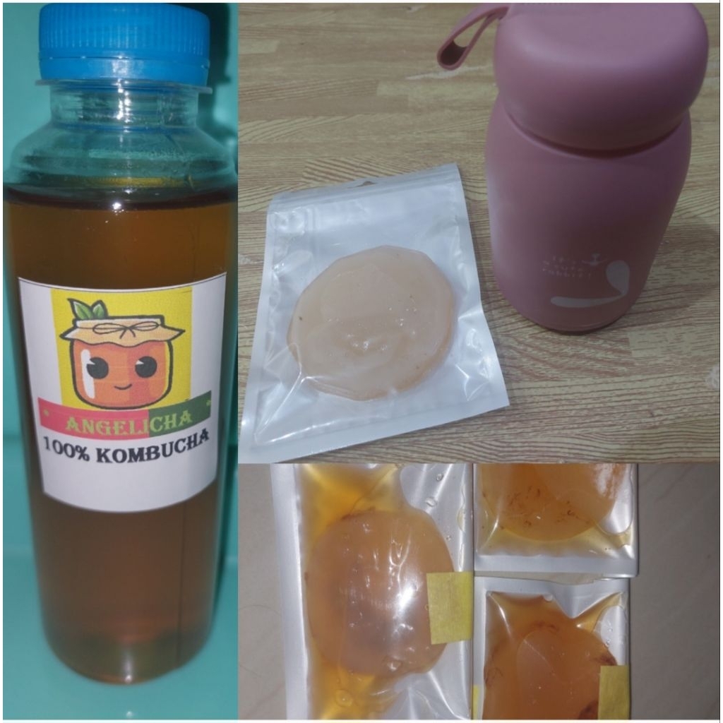 

bibit kombucha teh || scooby || scooby kombucha || teh kombucha || kombucha 300ml