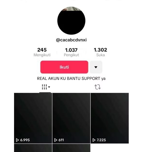 Akun Tiktok Pribadi 1K Followers