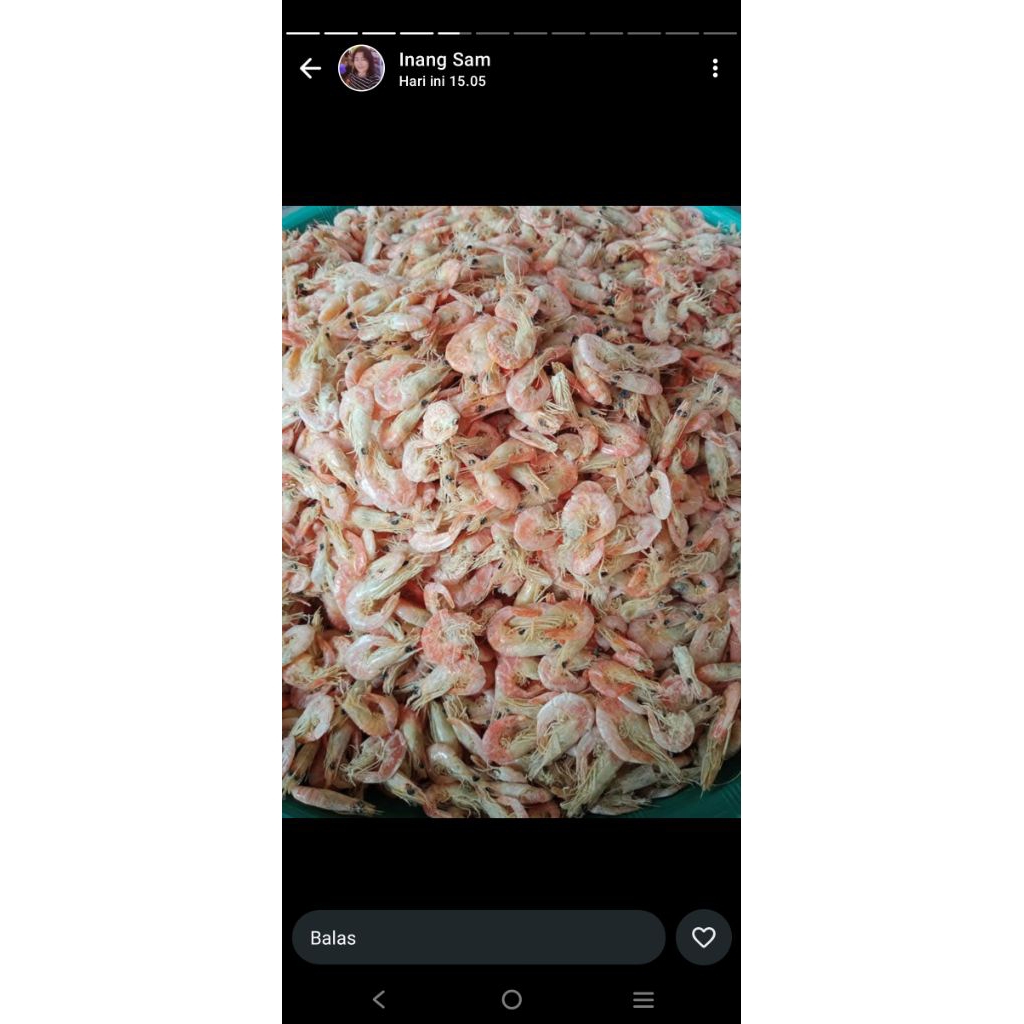 

UDANG MANIS ASIN//HALAL//250gr