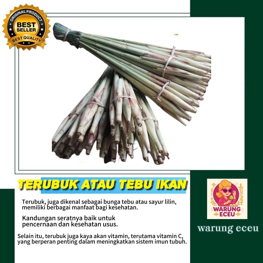 

Terubuk / Turubuk Tebu ikan Fresh Segar 1KG