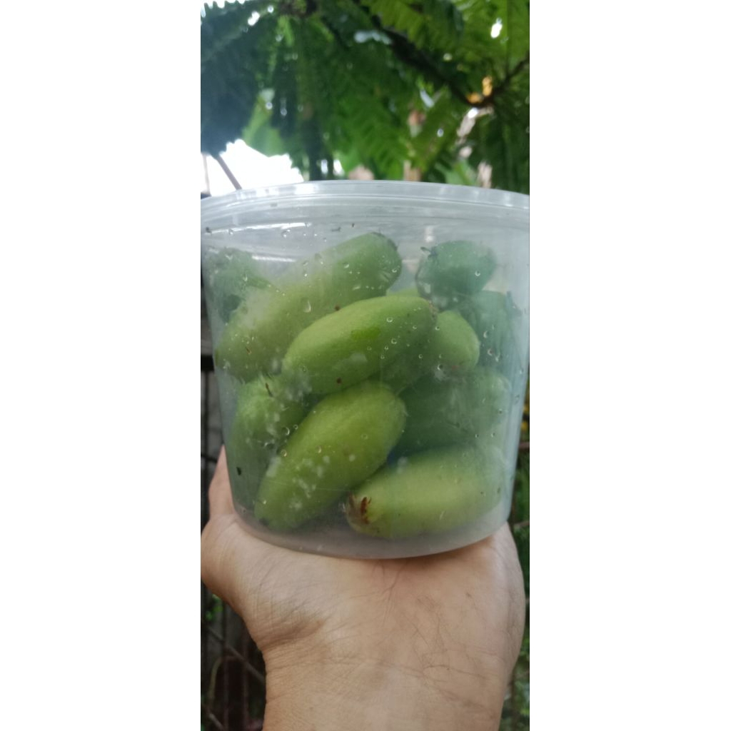 

Belimbing Wuluh Segar Kemasan Berat 300gr