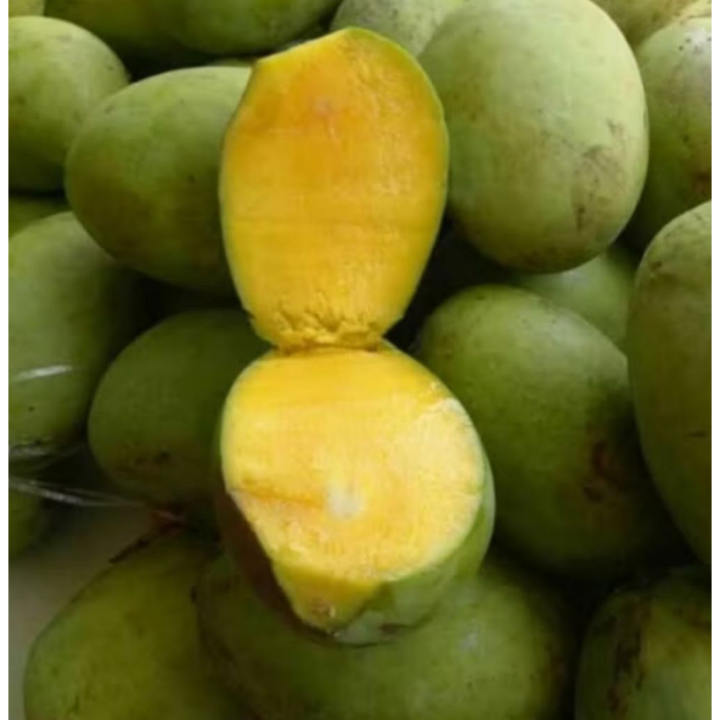 

BUAH MANGGA MANIS-ASAM SEGAR 1 Kg, MENGKAL & MATANG #LIMUS