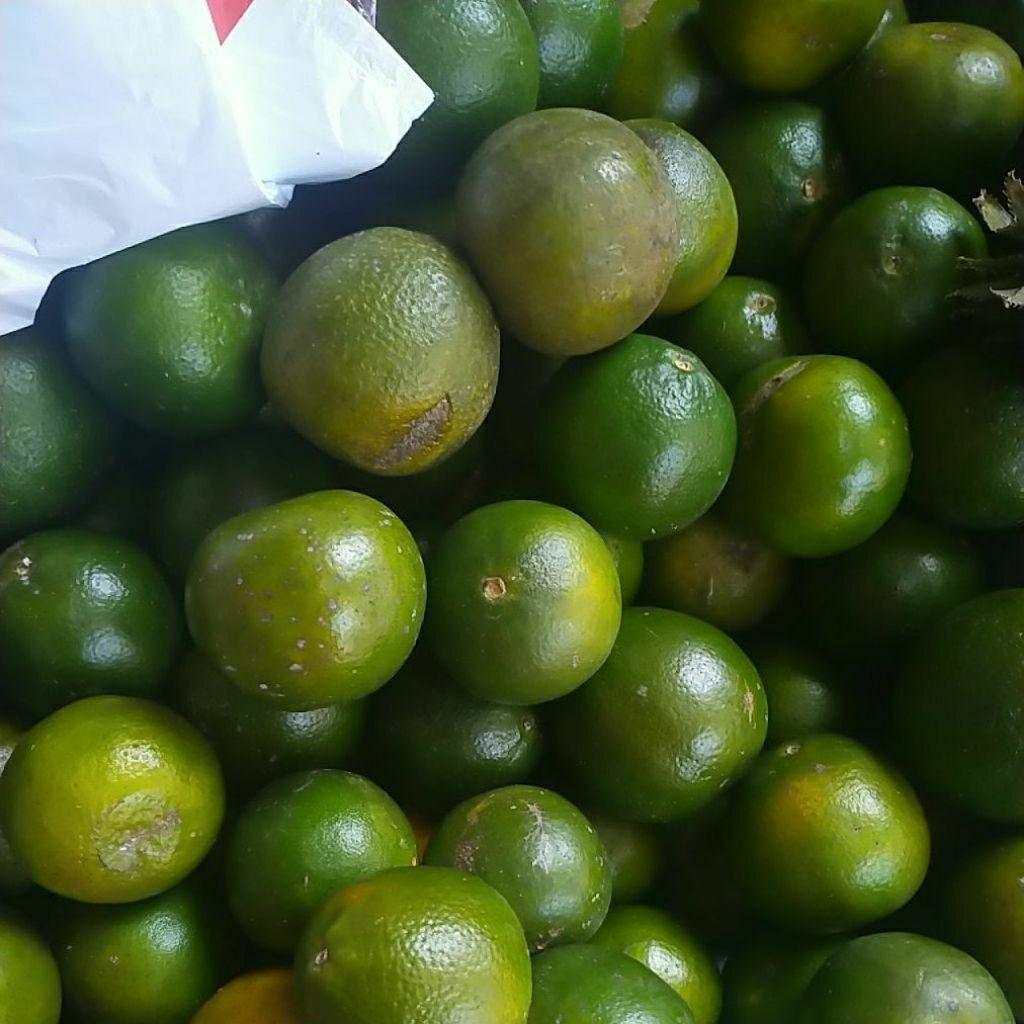 

jeruk peras perkilo 15rb