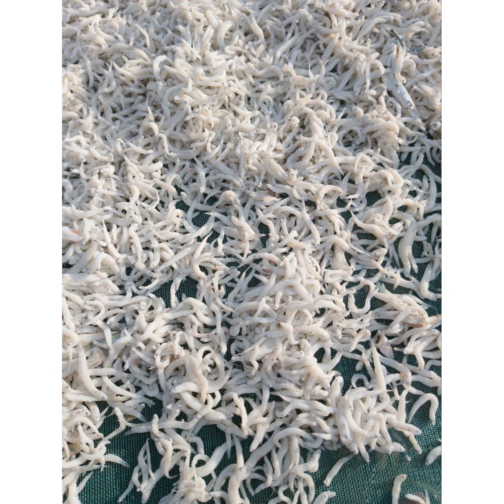 

Ikan asin teri Medan/teri nasi