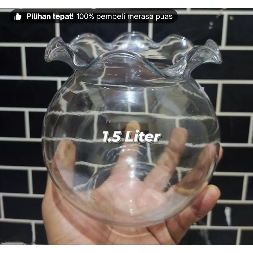 Aquarium toples bulat merk dlx  fish bowl aquarium kaca cristal bulat