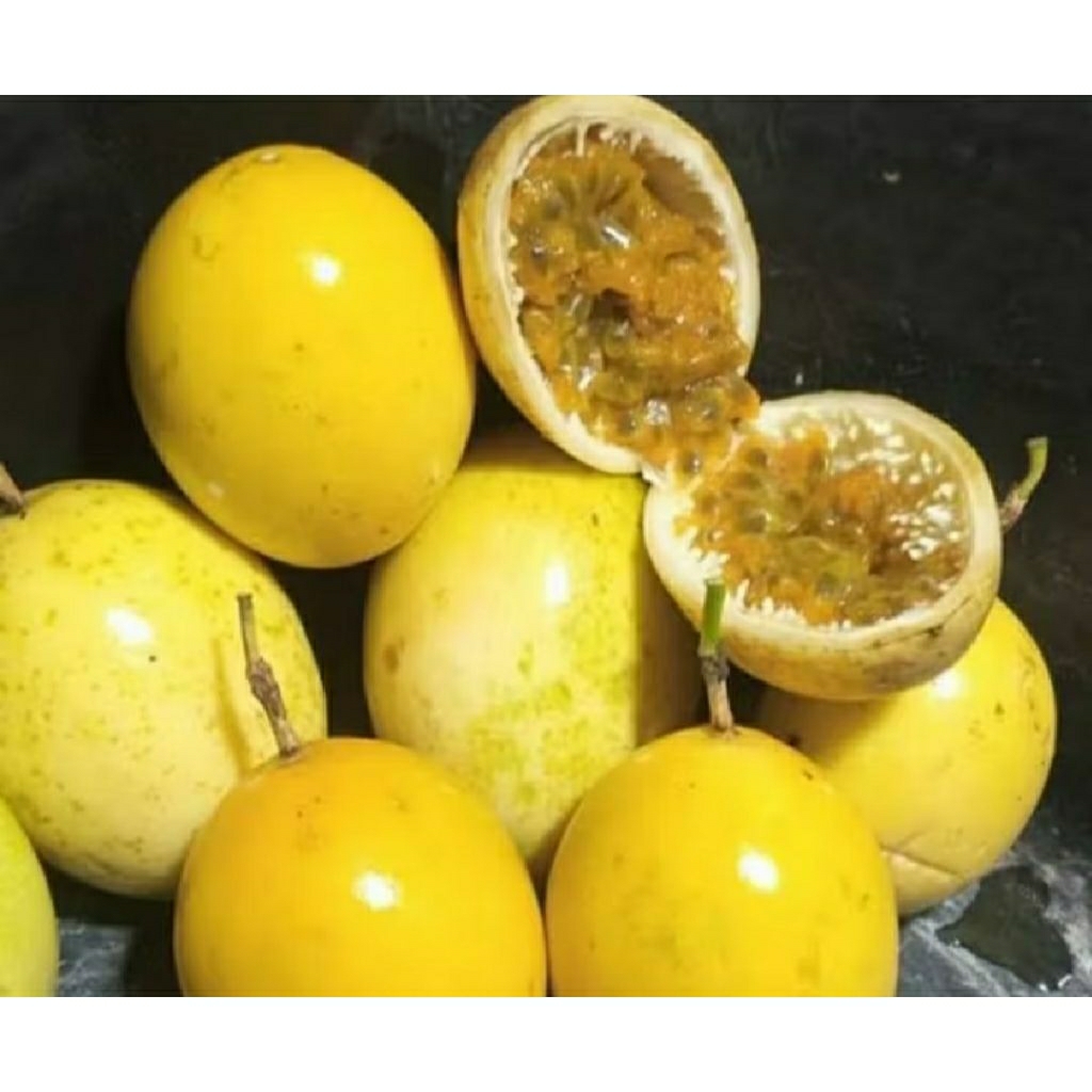 

BUAH MARKISA KUNING SEGAR 500Gram