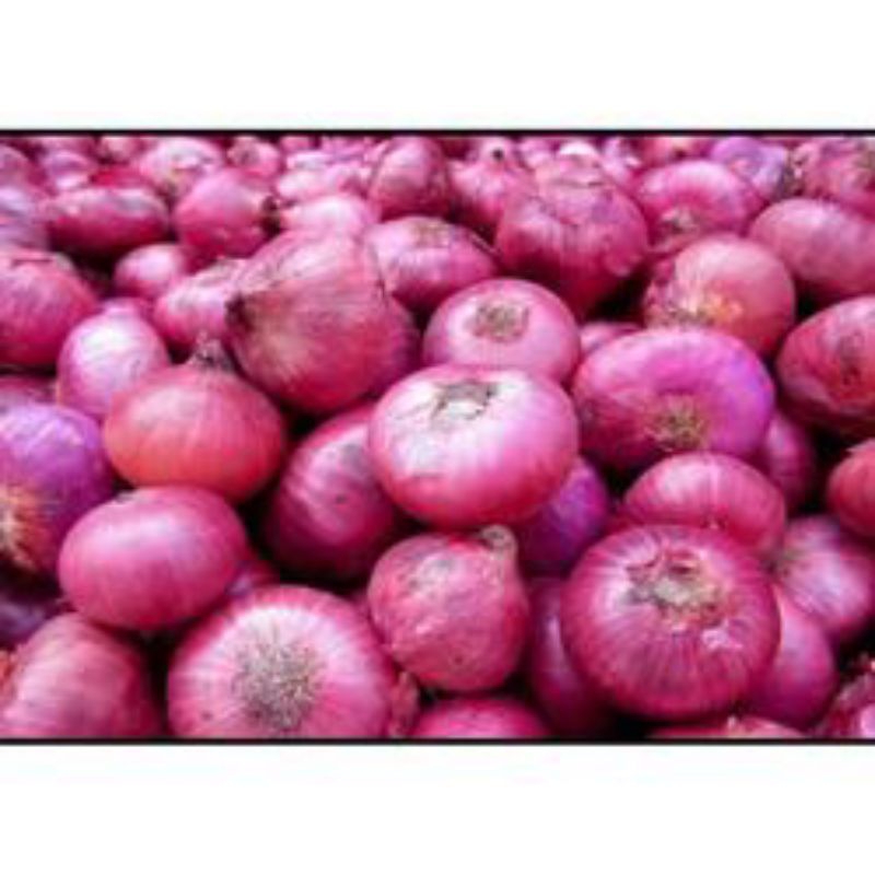 

BAWANG MERAH/BRAMBANG TIMBANGAN 3KG