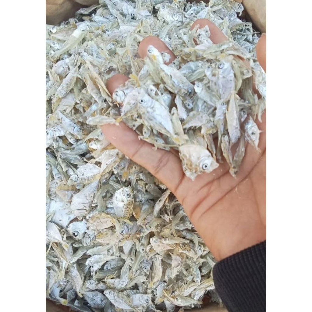 

Petek Rebus Kecil 1 KG
