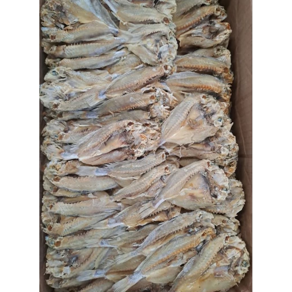 

Kepala Batu Sangge 1 KG