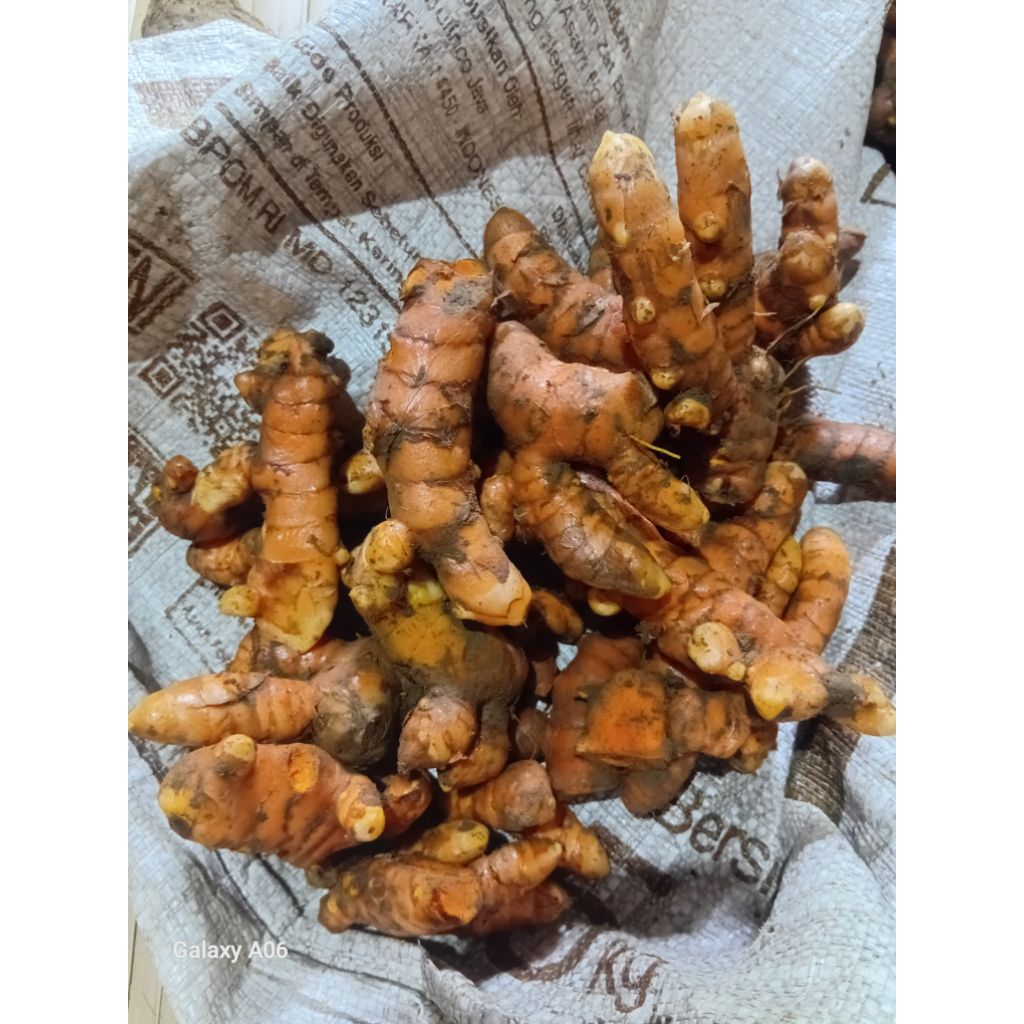 

kunyit/ koneng segar 1kg