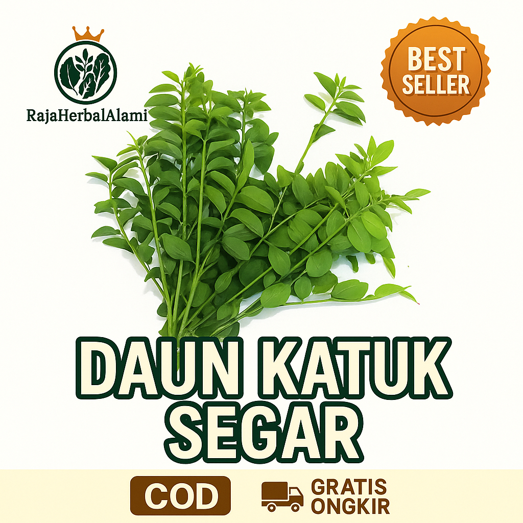 

Daun Katuk Segar Per 5 Ikat – Sayuran Pelancar ASI | COD