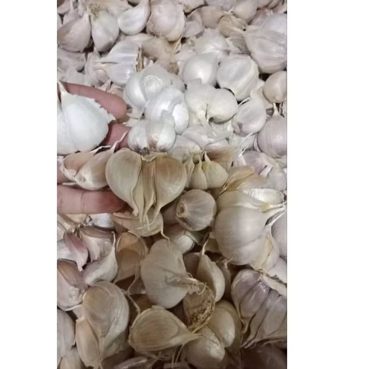 

BAWANG PUTIH KATING FRESS BERSIH 1KG