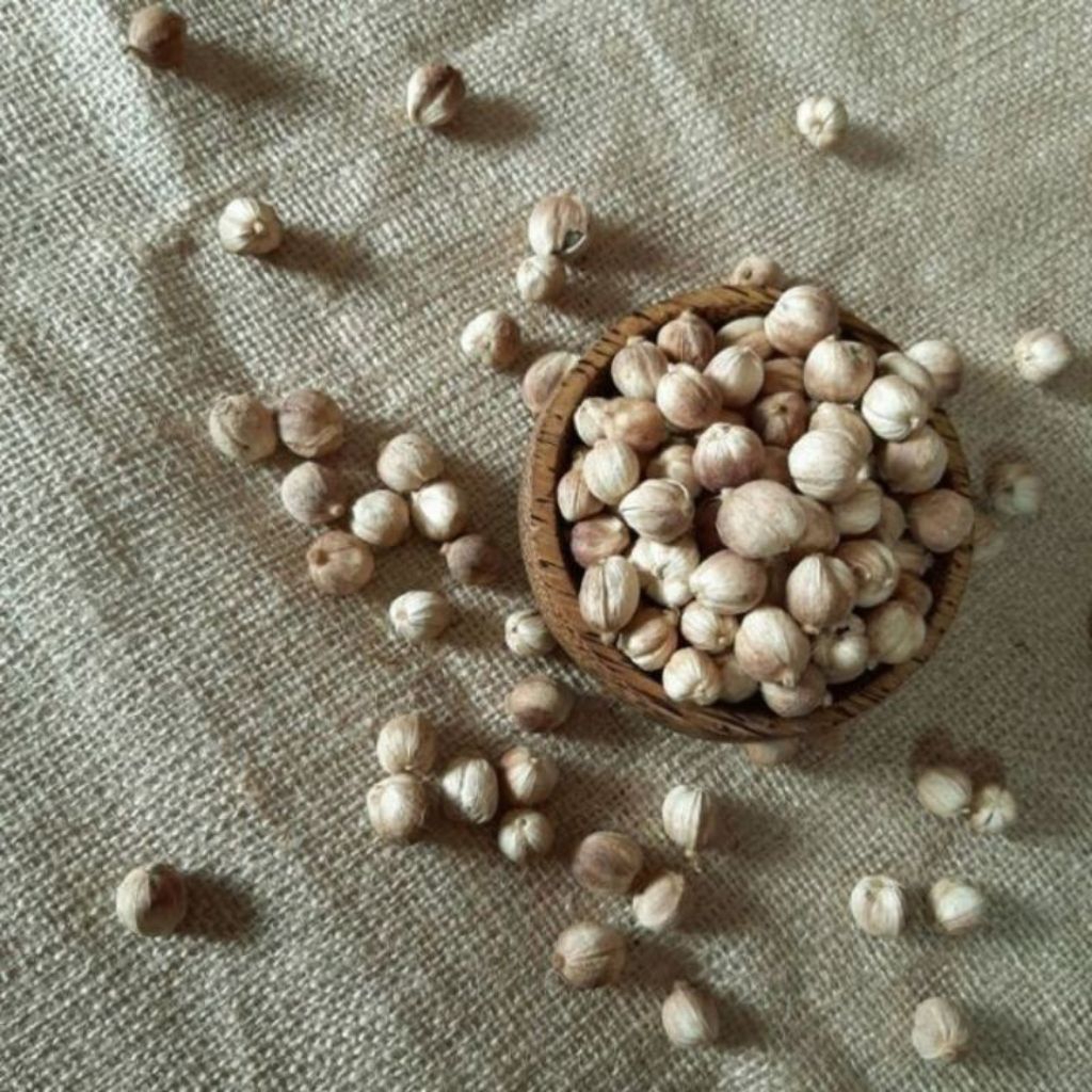 

kpulaga kering berkuwalitas 1kg