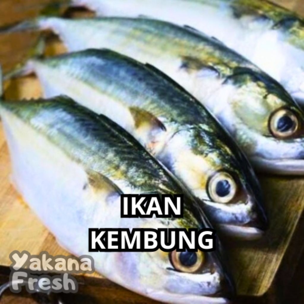 

Ikan Kembung 500g