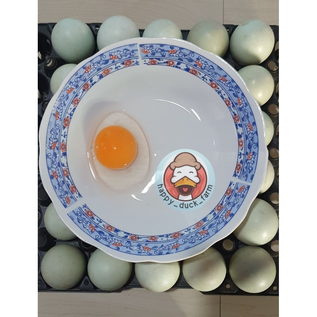 

Telur Bebek Mentah Omega3 Premium Fresh 10pcs . Grade BK