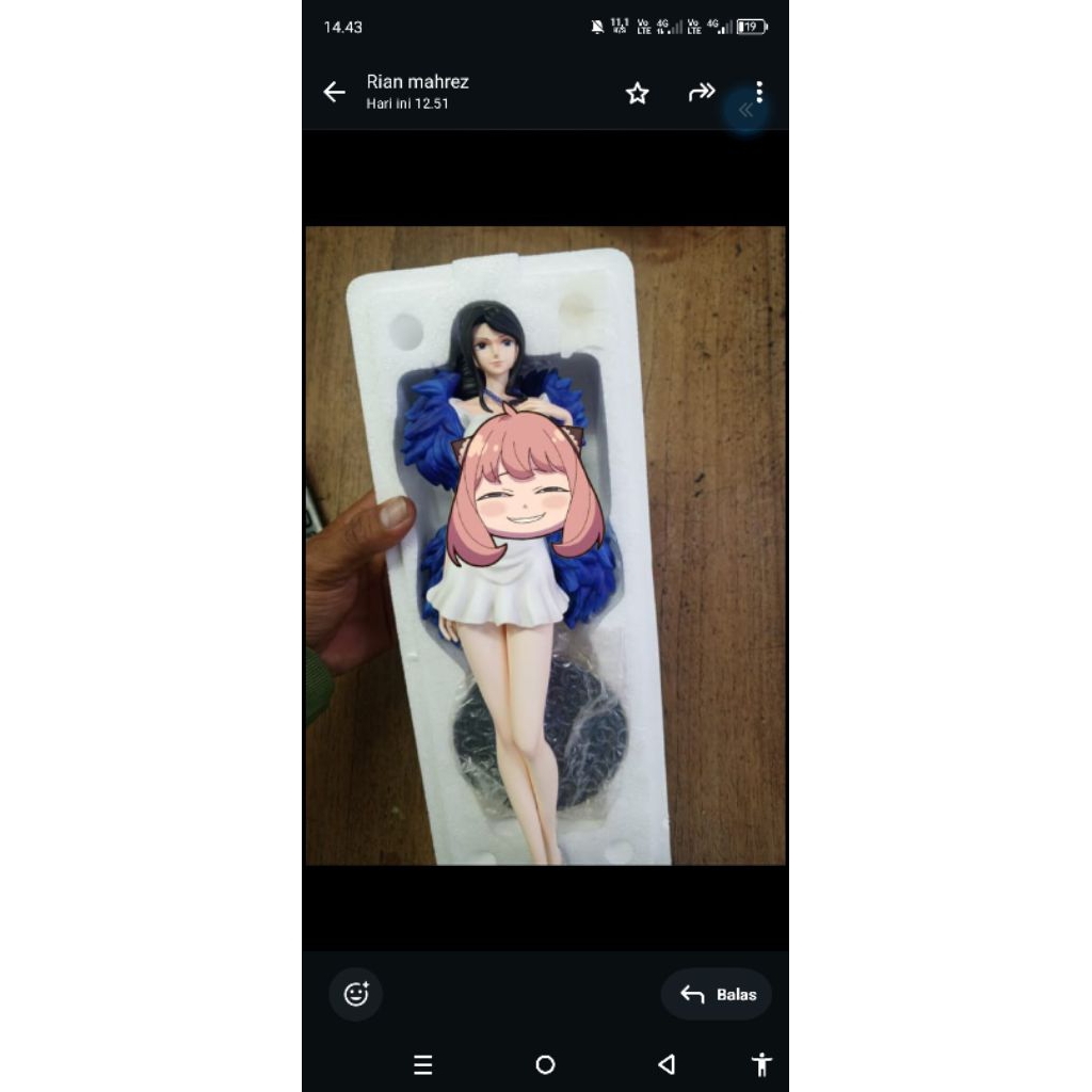 Nico Robin recast action figure