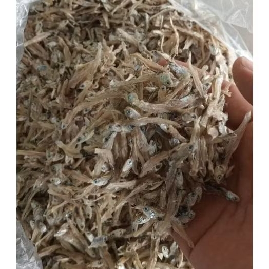 

ikan Teri tawar,gereh teri,ikan teri fresh,ikan laut 1kg