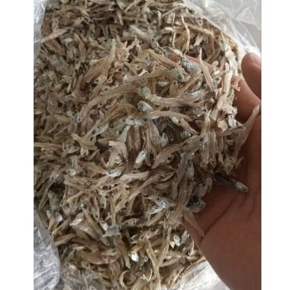 

ikan Teri,teri tawar super,ikan asin,ikan laut,Teri 500gr