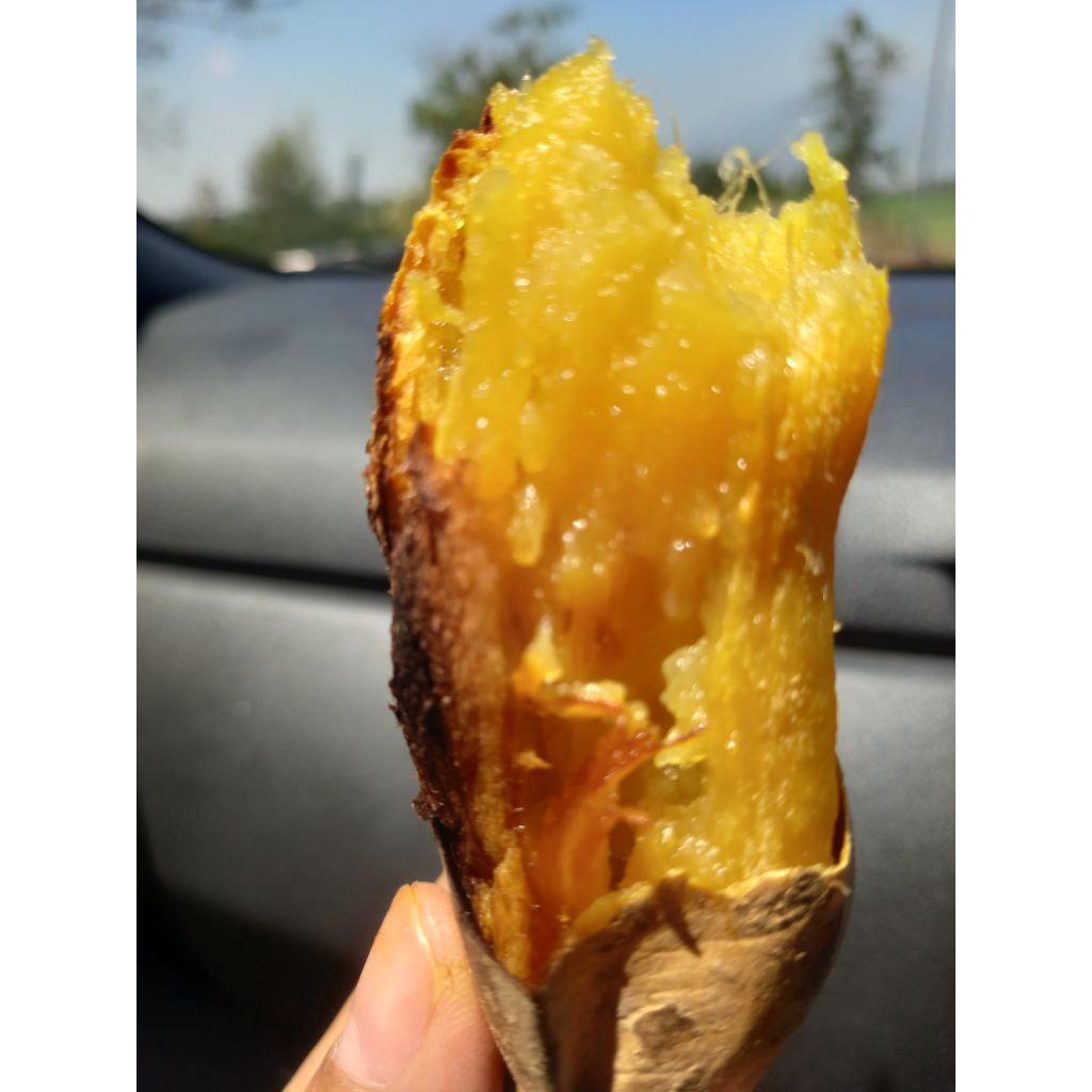 

Ubi Cilembu Oven 400-500 gr. *beli 2 diskon