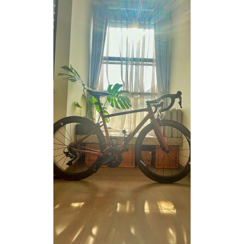 Sepeda Roadbike Specialized Elite (second) Good Condition