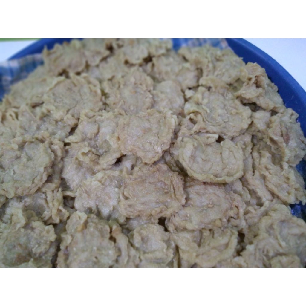 

pempek krispi frozen 500 gr