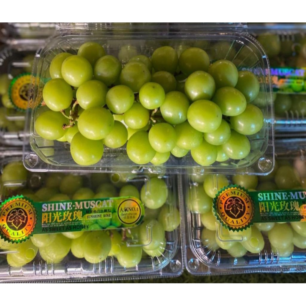

ANGGUR SHINE MUSCAT PACK
