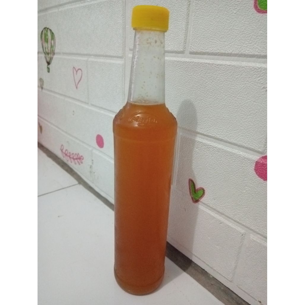 

madu bangka hutan liar, murni apa adanya