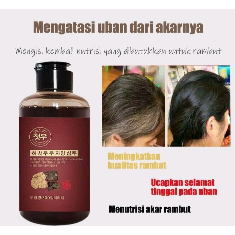 SHAMPOO UBAN PENGHITAM RAMBUT PERMANEN PENGHILANG UBAN GINSENG BLACK HERBAL NATURAL SHAMPOO