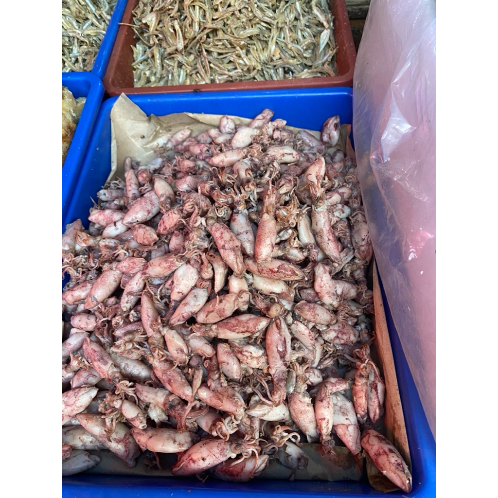 

Ikan Asin Cumi Besar Premium Tanpa Formalin Murah 100gr