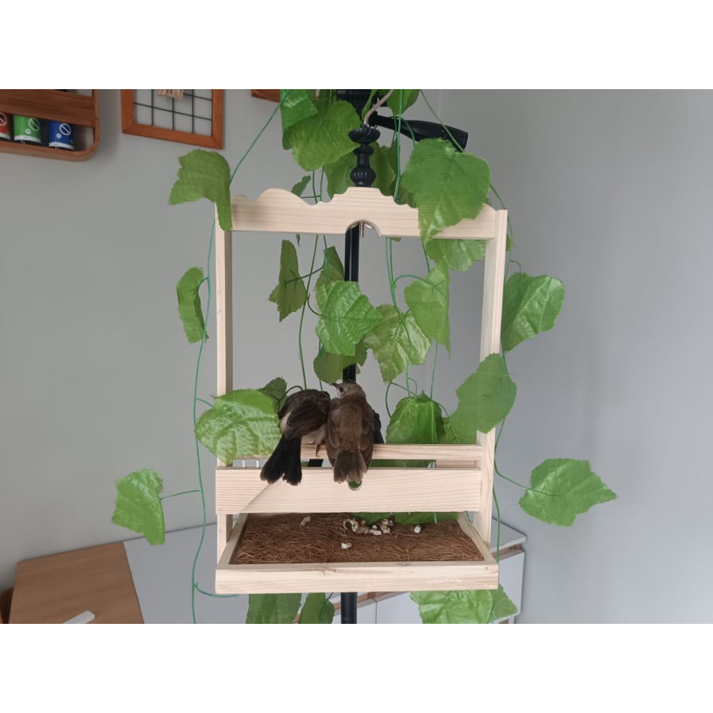 Sangkar Burung Layang Kayu Jati Landa Aesthetic Mahkota Ukir Natural