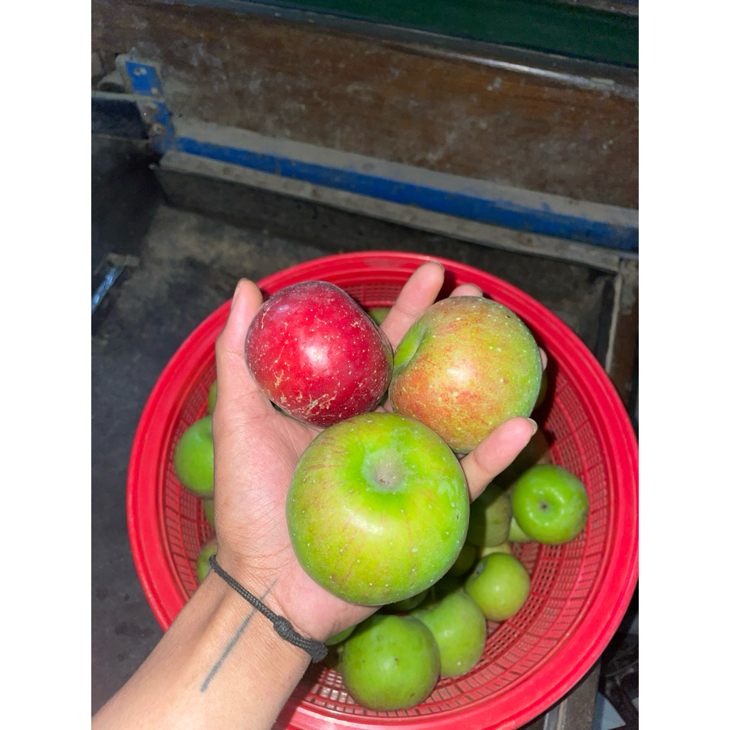 

apel rome beauty/RB per kg isi 8-12 buah