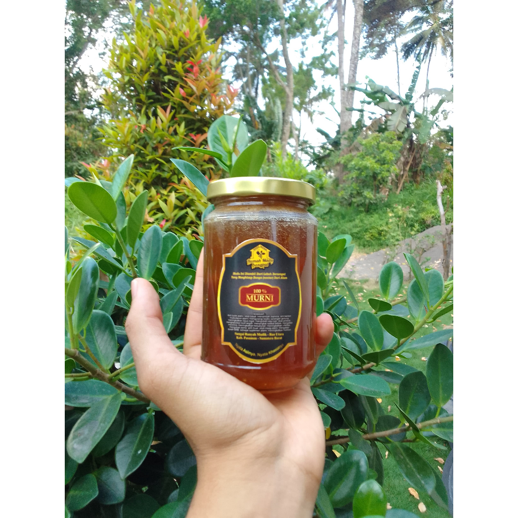 

madu hutan asli 500 gr madu hutan liar madu dorsata