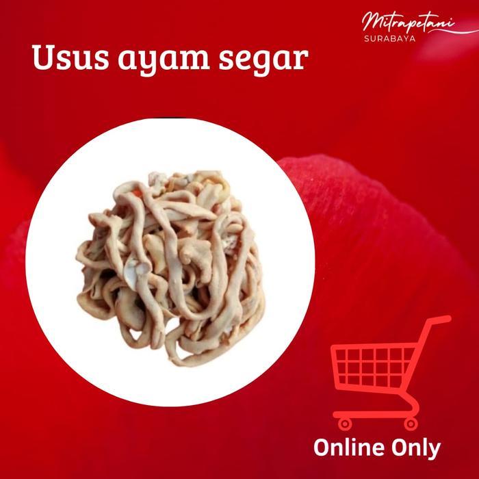

Usus ayam Matang Super premium 500gr Bersih Telih Tinggal olah Halal