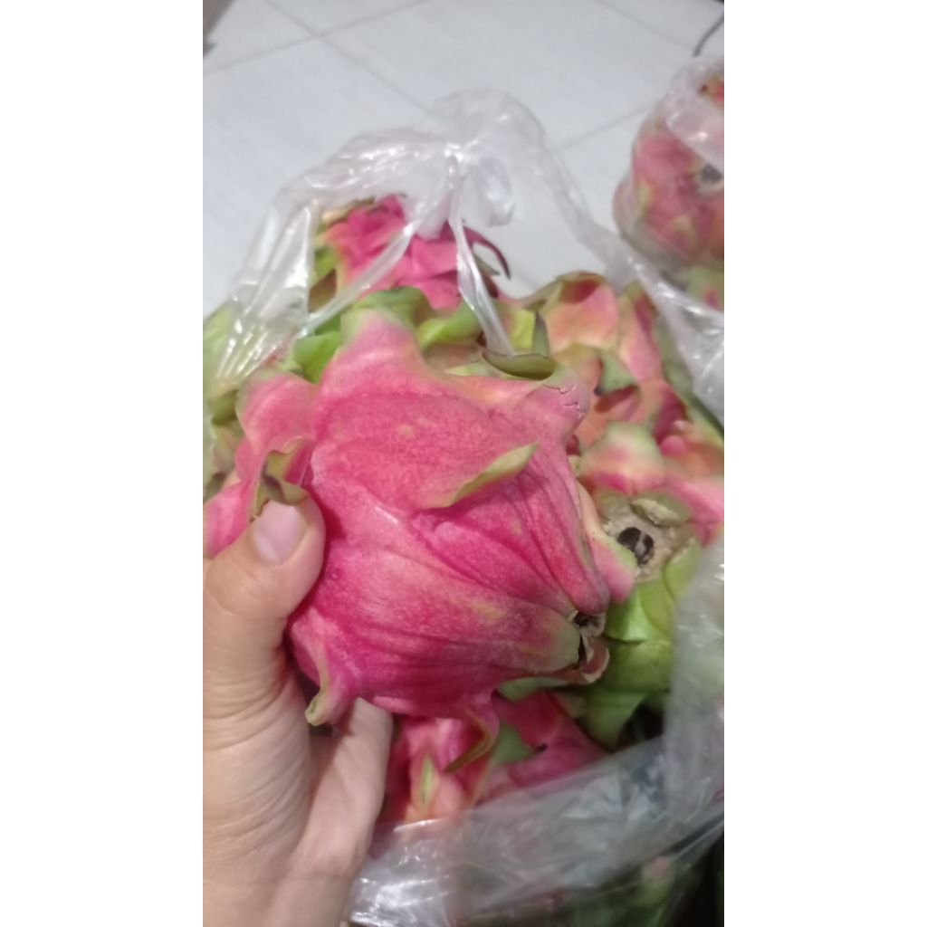 

BUAH NAGA 1KG