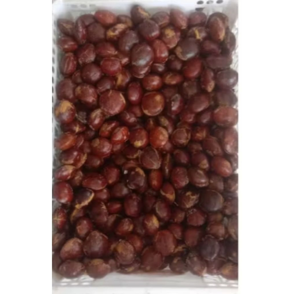 

promo jengkol tua/sepi 500 gram