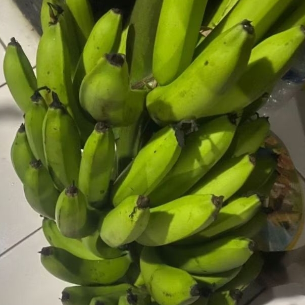 

Buah Pisang Mentah MY BR Pisang Bangkaulu