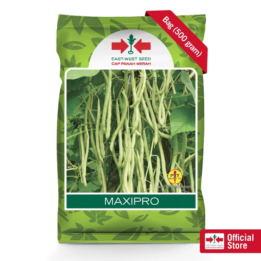 Cap Panah Merah - Buncis MAXIPRO 500gr
